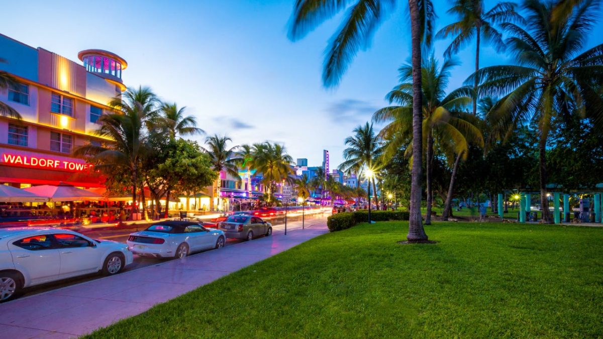 Streets of Miami with palm trees lining the sidewalks and neon lights on the storefronts.