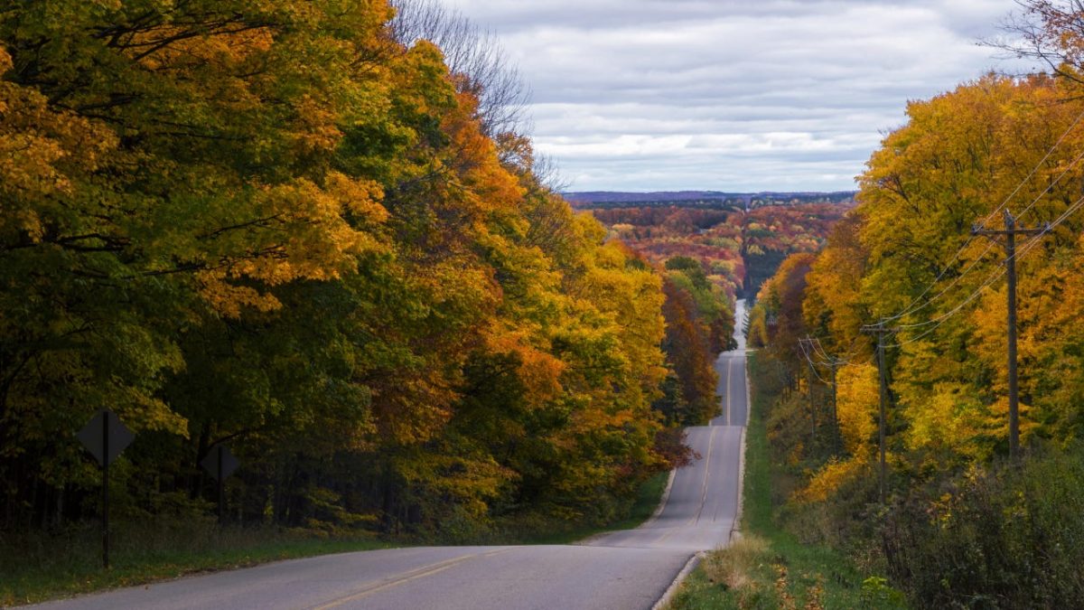 Tree lined road, Autumn, Harbor Springs, Michigan, United States, North America
